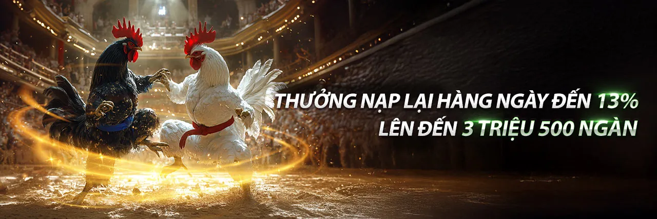 Tổng quan các môn thể thao đa dạng trên nền tảng okvip1 chính thức